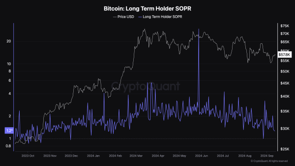 Bitcoin Safe Haven Status in Question as Gold, S&P 500 Reach All-Time Highs Bitcoin Safe Haven Status in Question as Gold, S&P 500 Reach All-Time Highs