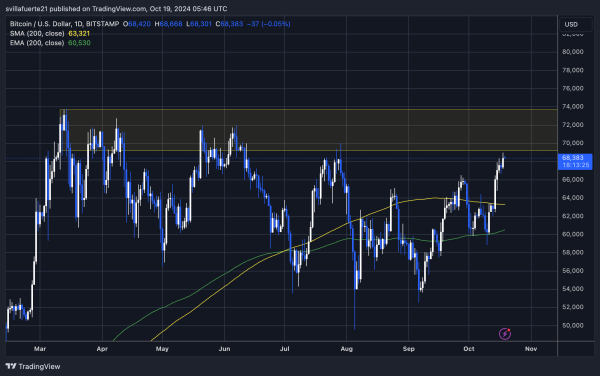 Bitcoin Whales &lsquo;Grew Substantially&rsquo; During Last Dip, Data Shows Large-Holder Accumulation