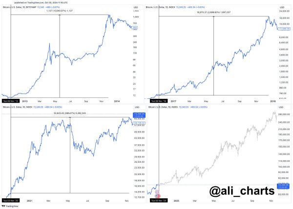 Expert Says This Time Will Not Be Different After Massive Bitcoin Rallies in Last Three US Elections Expert Says This Time Will Not Be Different After Massive Bitcoin Rallies in Last Three US Elections