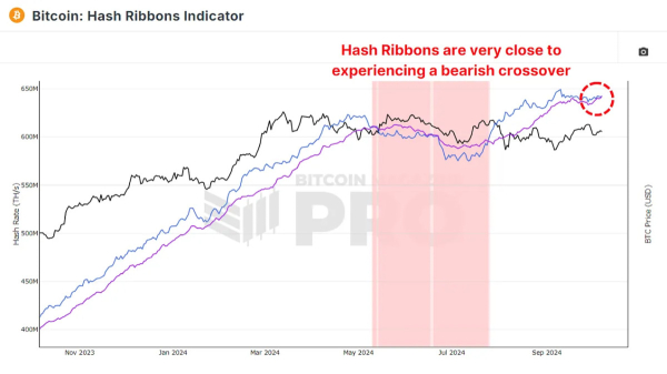 What Do Bitcoin Miners Expect Next?
