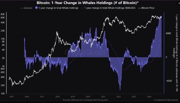 Whales Hit All-Time High Bitcoin Holdings At 670,000 &ndash; What Does This Mean For BTC?