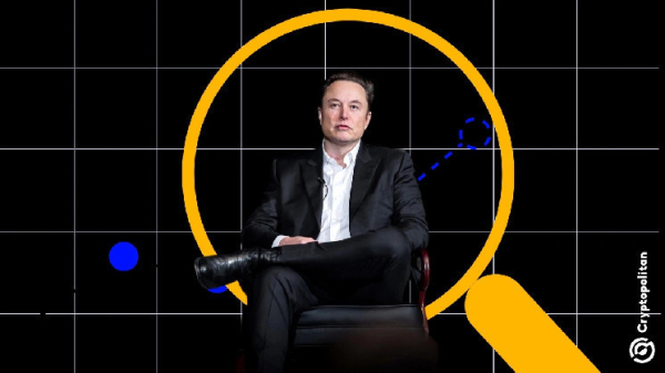 Why is Elon Musk&rsquo;s D.O.G.E so widely expected to fail?