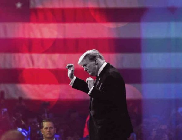 'Greatest comeback story of all time': crypto community reacts as Trump wins US election