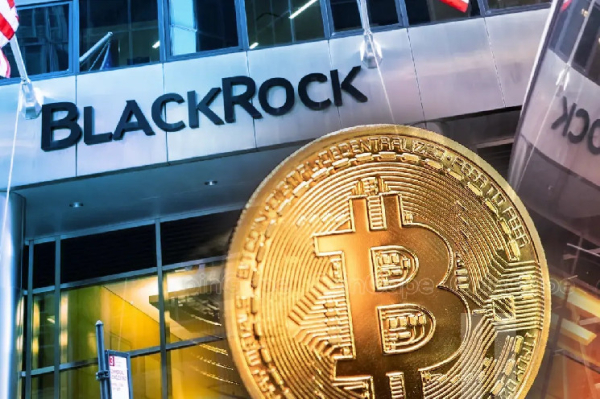 BlackRock Exec Refutes 'Risk-On' Tag For Bitcoin, Here's Why