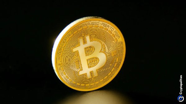 Robert F. Kennedy Jr: Bitcoin is the currency of freedom for middle class Americans