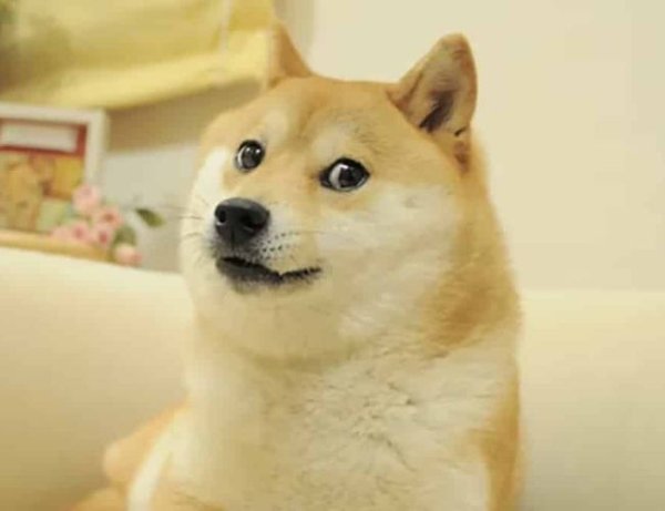 Bitcoin rally fuels record dogecoin perpetual futures trading volume on Kraken