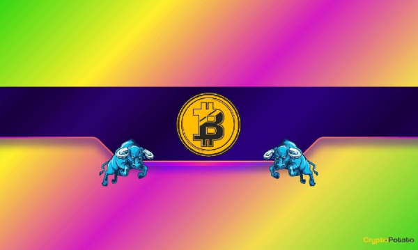 Is the Bitcoin (BTC) Price on the Verge of a Massive Rally? Is the Bitcoin (BTC) Price on the Verge of a Massive Rally?