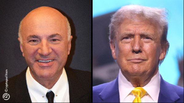 Kevin O&rsquo;Leary sheds light on why CEOs &lsquo;want to suck up to Trump&rsquo;