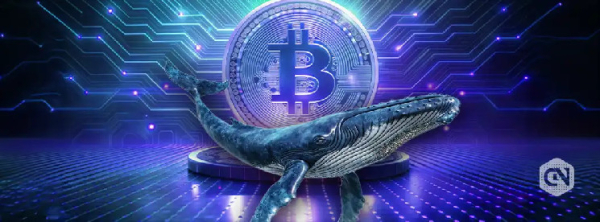 Dormant Bitcoin Whale Wakes Up with $530M BTC on The Move Dormant Bitcoin Whale Wakes Up with $530M BTC on The Move