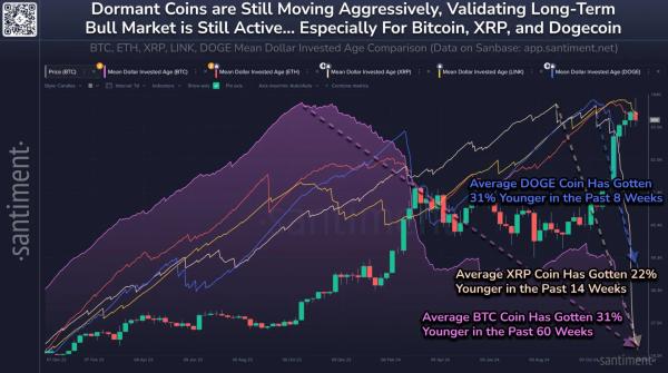Whales buy Bitcoin and XRP dip as bull cycle shows resilience