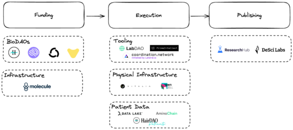 The Future of Research: VitaDAO Executive Sheds Light on DeSci and Blockchain’s Role The Future of Research: VitaDAO Executive Sheds Light on DeSci and Blockchain’s Role