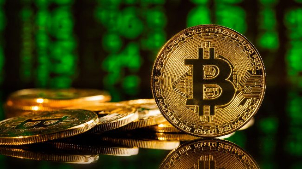 Bitcoin Shark Wallets Set New Record: Bullish Foreshadowing For 2025?