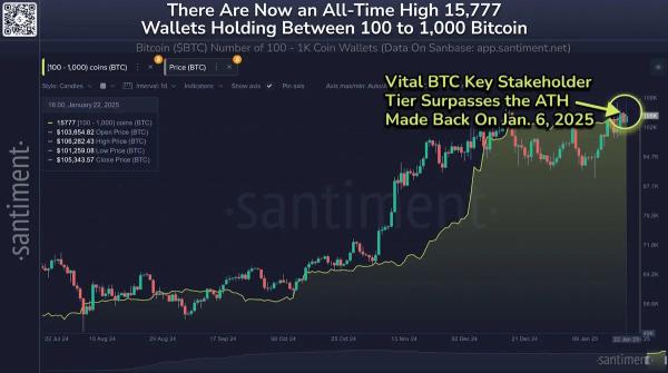 Dormant 2012-2017 Bitcoin Wallets Move Millions, BTC Whales Quietly Hoard