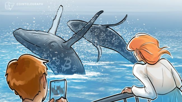 Bitcoin whales have scooped up 34K BTC since December dump: Analyst
