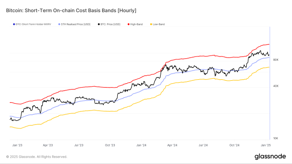 Bitcoin&rsquo;s Path to $100,000: Waning Short-Term Holder Confidence Signals Reversal
