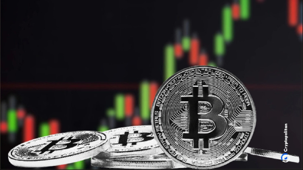Bitcoin starts 2025 with transfer to a cohort of new short-term holders Bitcoin starts 2025 with transfer to a cohort of new short-term holders