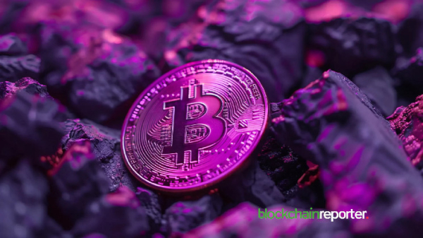 The Future of BTCFI Infrastructure: 3 Projects Redefining Bitcoin’s Scalability  The Future of BTCFI Infrastructure: 3 Projects Redefining Bitcoin’s Scalability