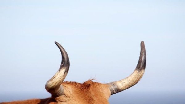 KULR Expands Bitcoin Holdings to 610 BTC, Reports 167% BTC Yield