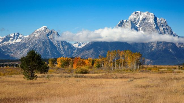 Wyoming&rsquo;s Future as a Blockchain Leader Hangs in the Balance Without Fair Procurement Processes