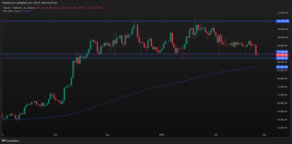 Why Is Bitcoin Price Down Today? BTC Falls Under $91K, Testing November 2024 Lows