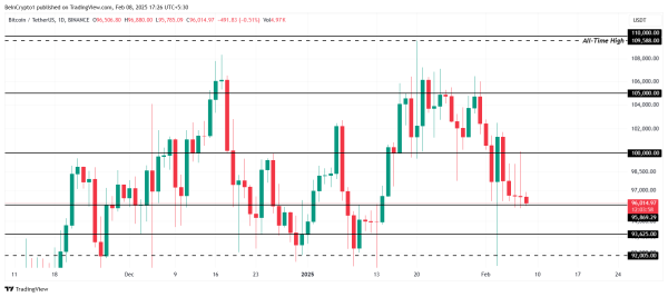 Bitcoin Price Struggles Below $100,000: What This Means for the Next Bull Run