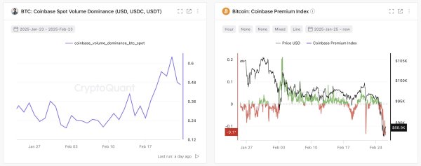 Bitcoin Mega Whales The Primary Sellers During Price Crash, Analytics Firm Reveals Bitcoin Mega Whales The Primary Sellers During Price Crash, Analytics Firm Reveals