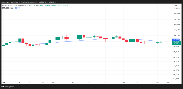 Bitcoin’s Diamond Hands Double Down, Targets All-Time High Bitcoin’s Diamond Hands Double Down, Targets All-Time High
