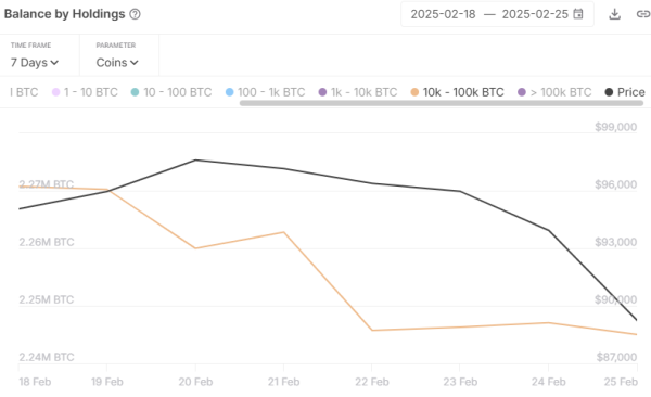 Bitcoin Mega Whales The Primary Sellers During Price Crash, Analytics Firm Reveals Bitcoin Mega Whales The Primary Sellers During Price Crash, Analytics Firm Reveals