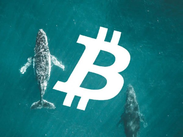 &lsquo;Whales Entered Bitcoin Short at $88,000,&rsquo; Analysis Company Says, Explains Its Meaning