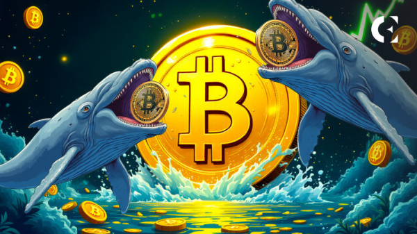 Bitcoin&rsquo;s Getting New Big Players: Fresh Whales Amassing Millions