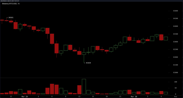 Bitcoin Price Analysis: Can Bitcoin Bulls Overcome $84,000 Resistance?