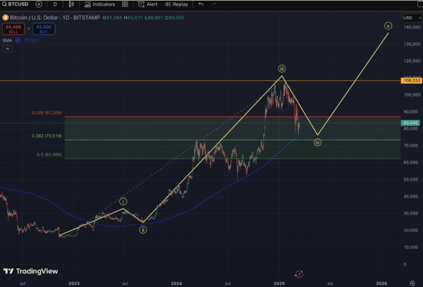 Have we reached the bitcoin bull run’s final wave? Have we reached the bitcoin bull run’s final wave?