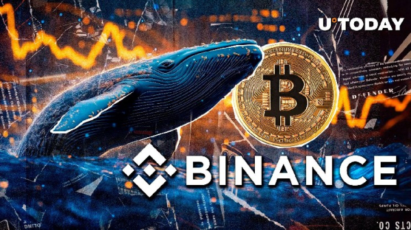 Dormant Bitcoin Whale Makes Massive BTC Purchase on Binance Dormant Bitcoin Whale Makes Massive BTC Purchase on Binance