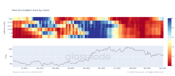 Whales Buy the Bitcoin Dip: First Meaningful Accumulation in 8 Months