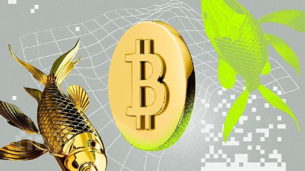 Bitcoin to Track Gold’s Rally With a 100-Day Delay Amid Liquidity Boom, Says Analyst Bitcoin to Track Gold’s Rally With a 100-Day Delay Amid Liquidity Boom, Says Analyst