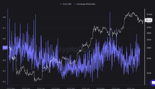 How High Will Bitcoin Go? A Deep Dive Into Market Trends How High Will Bitcoin Go? A Deep Dive Into Market Trends