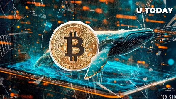 $84 Million in Bitcoin Leaves World&rsquo;s Leading Crypto Exchange as Volume Spikes 37%