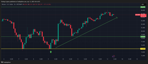 Bitcoin Dollar Price Jumps: Is the Bitcoin Price Rally Just Starting? Bitcoin Dollar Price Jumps: Is the Bitcoin Price Rally Just Starting?