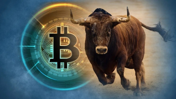 Analysis Firm Warns: This Bitcoin Bull Run Is Very Different From Previous Ones