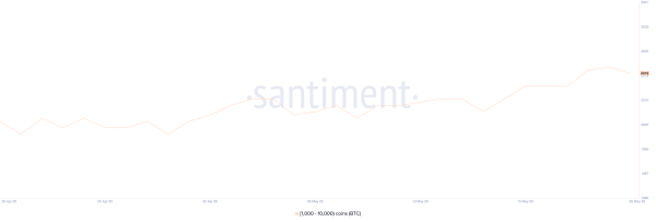 Bitcoin Fails to Breach $110,000 and Hold its All-Time High &ndash; What&rsquo;s Next?&nbsp;