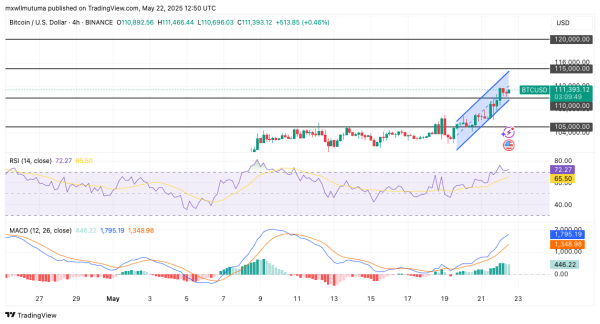 Bitcoin Price Soars Past $110K; How Far Could This Bull Run Extend?