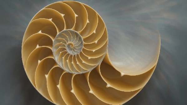 Fibonacci Retracement: A Trader&rsquo;s Compass in the Bitcoin Market