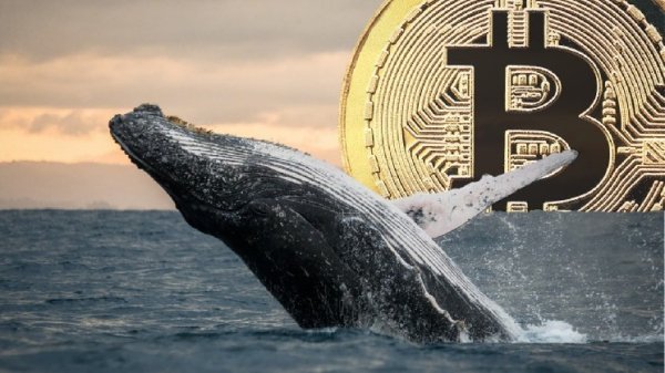 Mysterious Bitcoin Whale Returns to Action: Making Transactions Almost Every Day Mysterious Bitcoin Whale Returns to Action: Making Transactions Almost Every Day