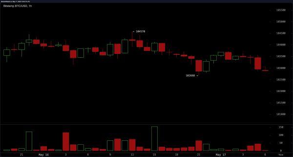 Bitcoin Price Watch: Bearish Signals Emerge Despite Bullish Trendline