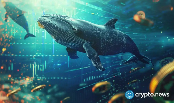 Over 80% of Bitcoin is held by wallets with 10 BTC or more, data shows Over 80% of Bitcoin is held by wallets with 10 BTC or more, data shows