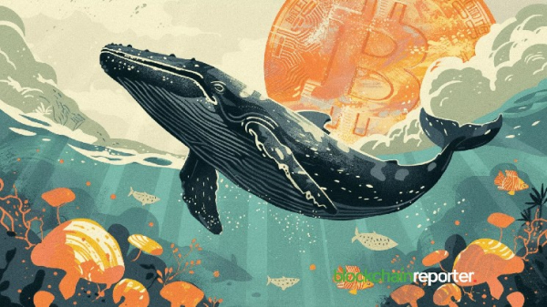 $270M in Bitcoin Pulled from Binance by a Big Whale in 30 Days, On-Chain Data Reveals