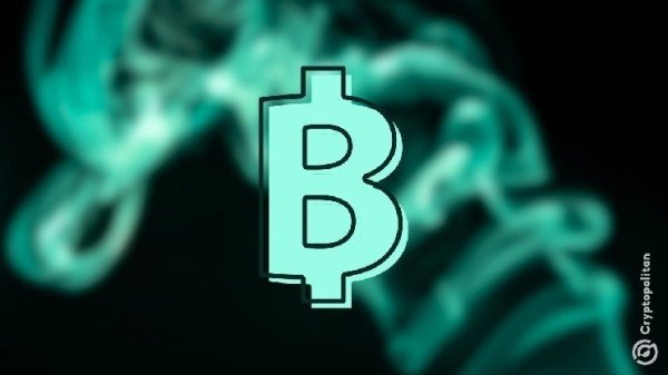 Bitcoin scarcity expected to grow as ancient whales' hoarded stockpile peaks