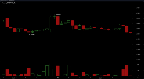 Bitcoin Price Watch: Bulls Defend Key Support as Momentum Cools