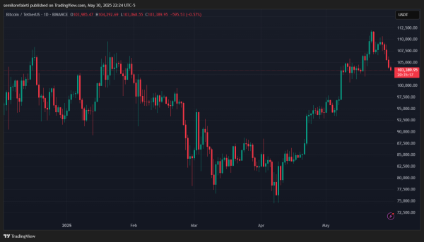 Bitcoin Must Reclaim $106,000 Resistance To Avoid Further Crash &ndash; Analyst