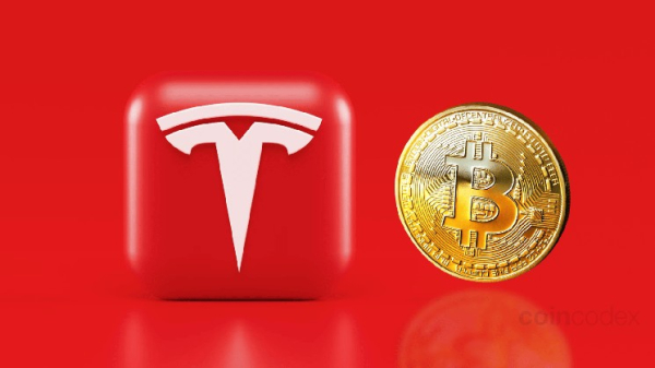 How Much Bitcoin Does Tesla Own in 2025? What the Numbers Reveal About Tesla’s Crypto Play How Much Bitcoin Does Tesla Own in 2025? What the Numbers Reveal About Tesla’s Crypto Play